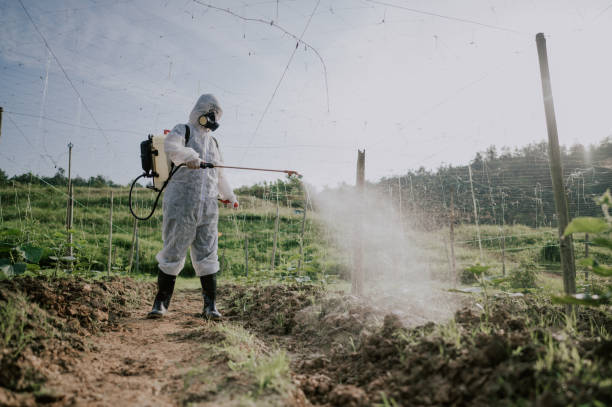Best Pest Removal Services  in Benld, IL