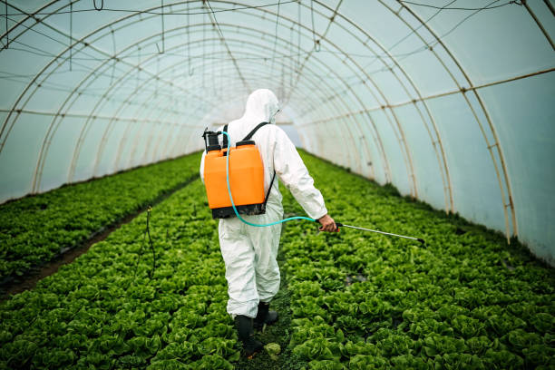 Best Pest Removal Services  in Benld, IL