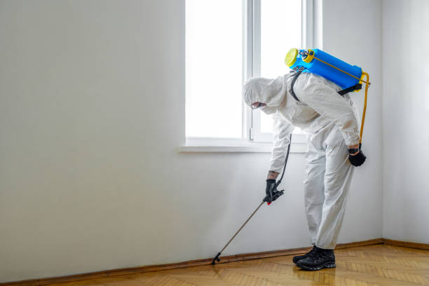 Best Emergency Pest Control  in Benld, IL