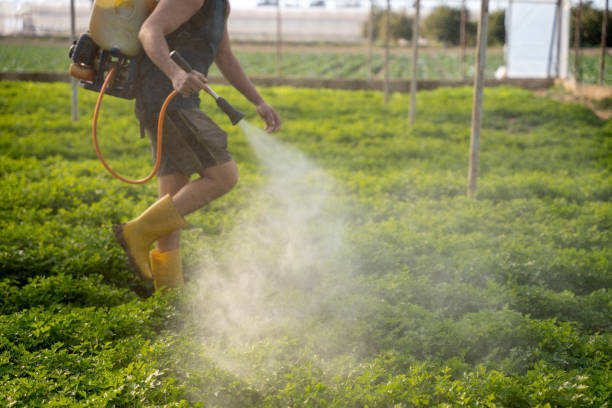 Best Mosquito Control Services  in Benld, IL
