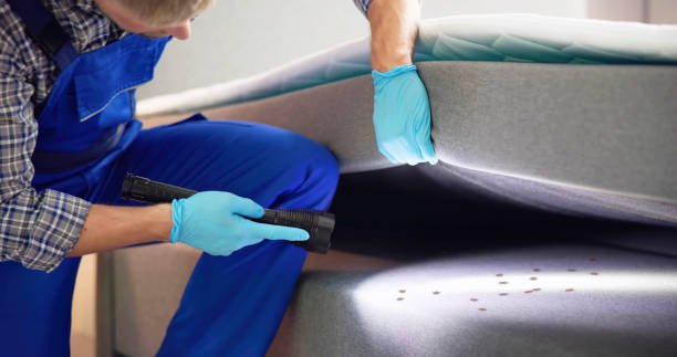 Best Cockroach Control Services  in Benld, IL