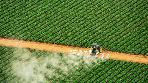 Best Pest Inspection Near Me  in Benld, IL