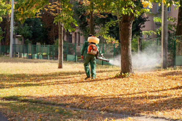 Best Affordable Pest Control Services  in Benld, IL