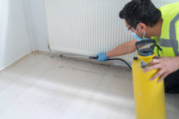 Best Local Pest Control Services  in Benld, IL