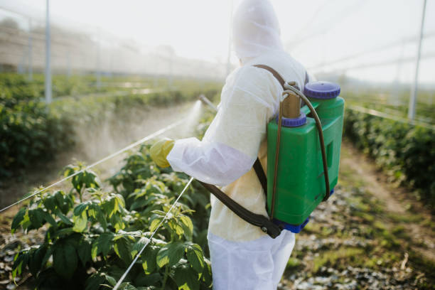 Best Ant Control Services  in Benld, IL